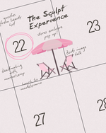 The Sculpt Experience